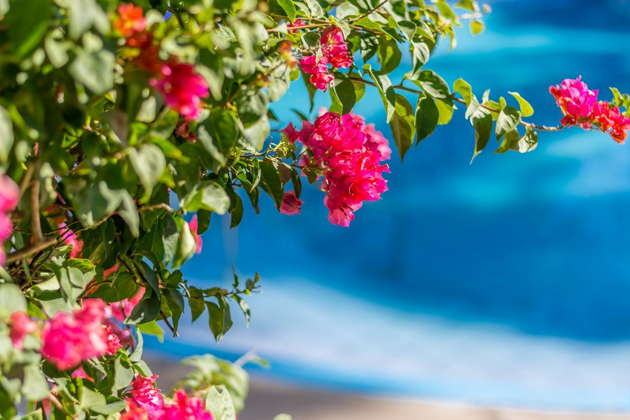 אתנאס Hotel Colinas Del Sol מראה חיצוני תמונה