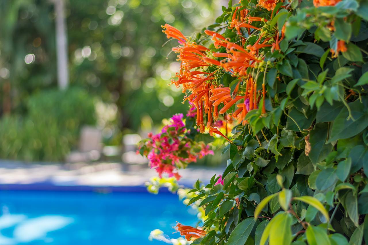 אתנאס Hotel Colinas Del Sol מראה חיצוני תמונה