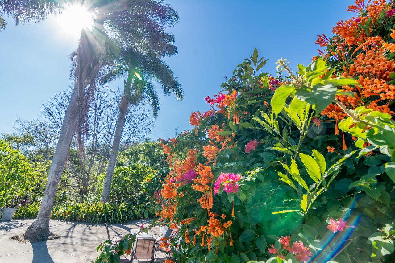 אתנאס Hotel Colinas Del Sol מראה חיצוני תמונה